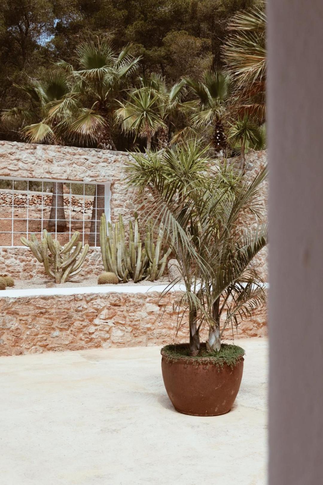 Pure House Ibiza Hotel Sant Jordi de ses Salines Bagian luar foto